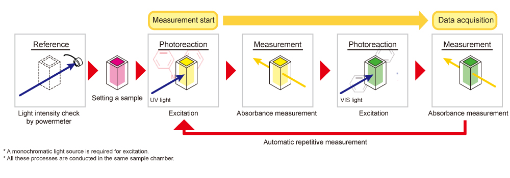 figure Measurement Process